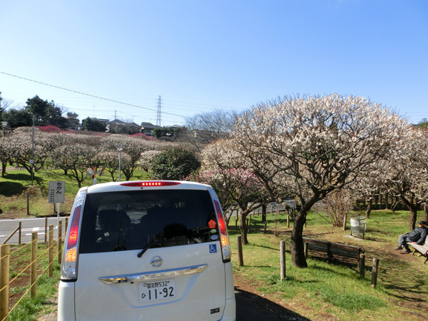 デイサービス宝：年間行事